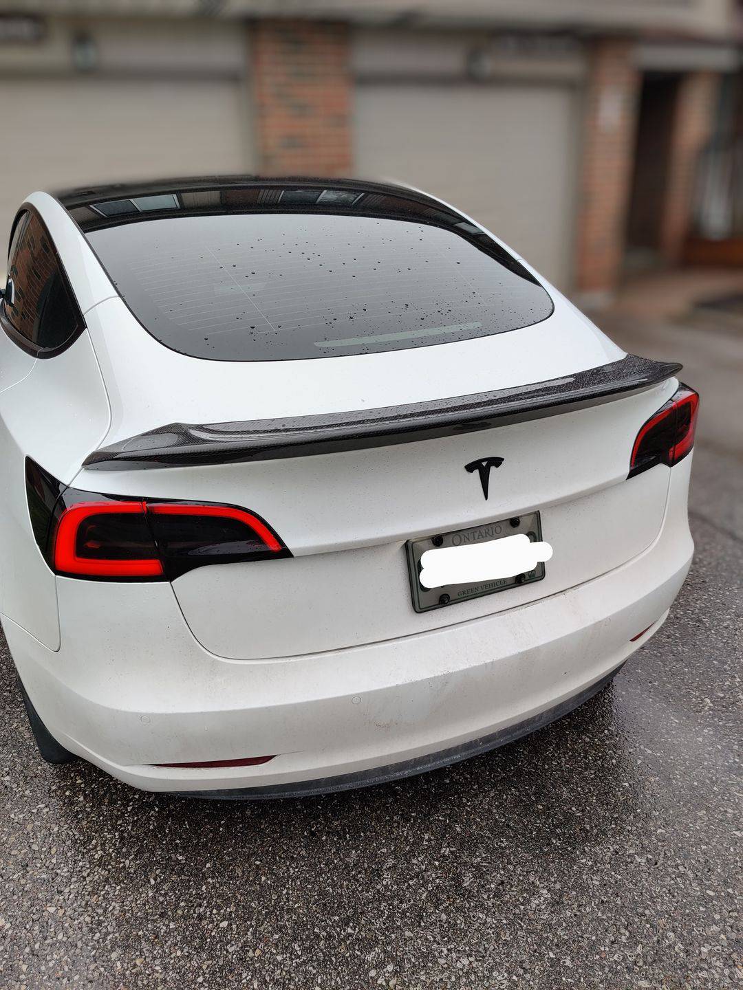 Model 3 (2018-2023) |  Aileron en fibre de carbone style 'V' - TTS Parts inc.