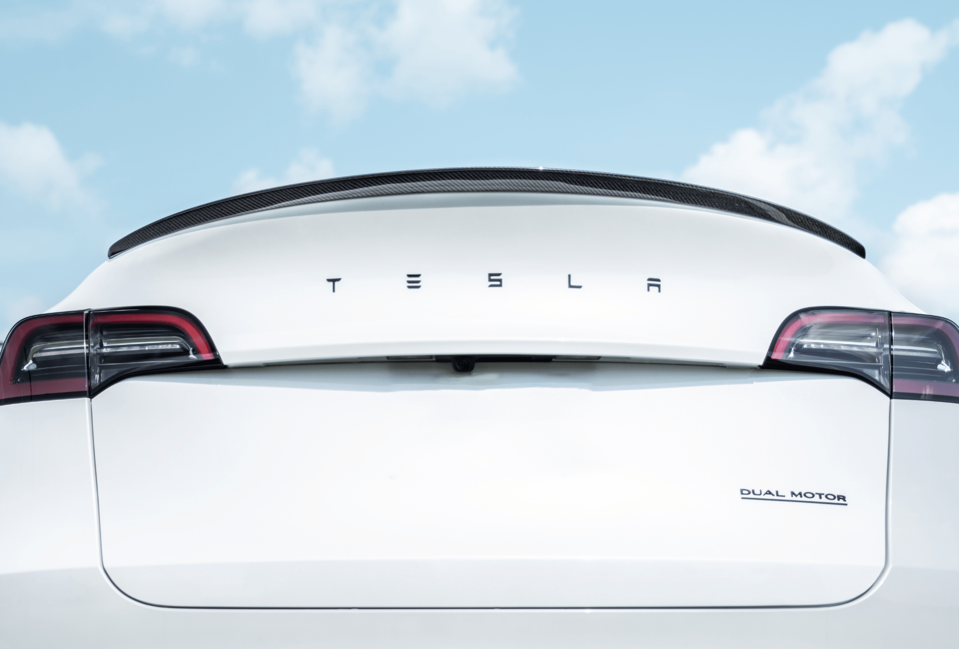Model Y | Aileron de performance en fibre de carbone - TTS Parts inc.