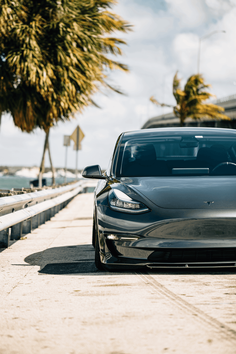 Model 3 (2018-2023) | Lips en fibre de carbone style 'C' - TTS Parts inc.
